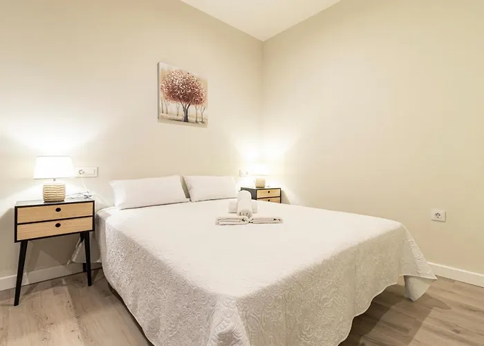 Top & Chic Albarizuela Nº5 헤레스