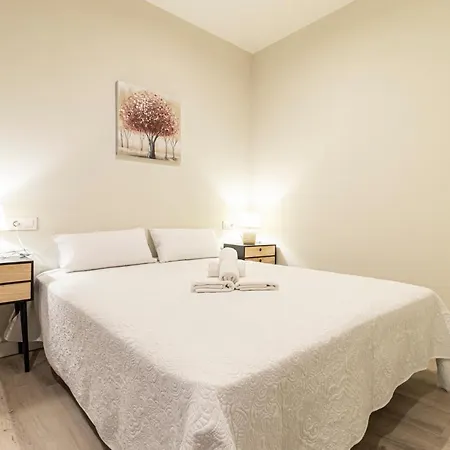 Top & Chic Albarizuela Nº5 جيريز